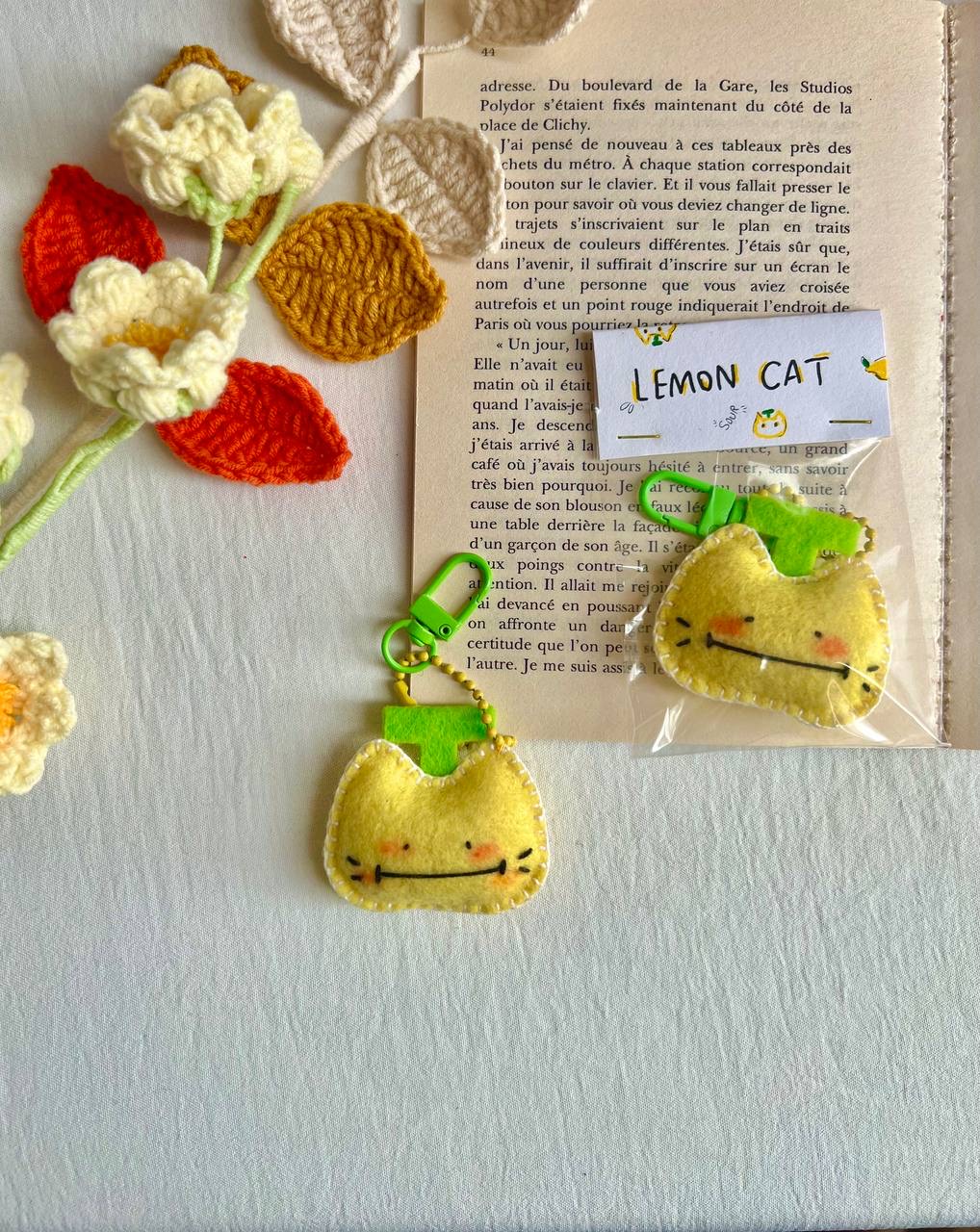 چارم گربه لیمویی